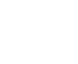 Die Shiny